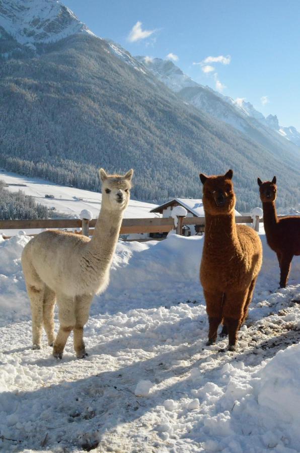 Pension Kirchbrugger Telfes im Stubai Exteriör bild